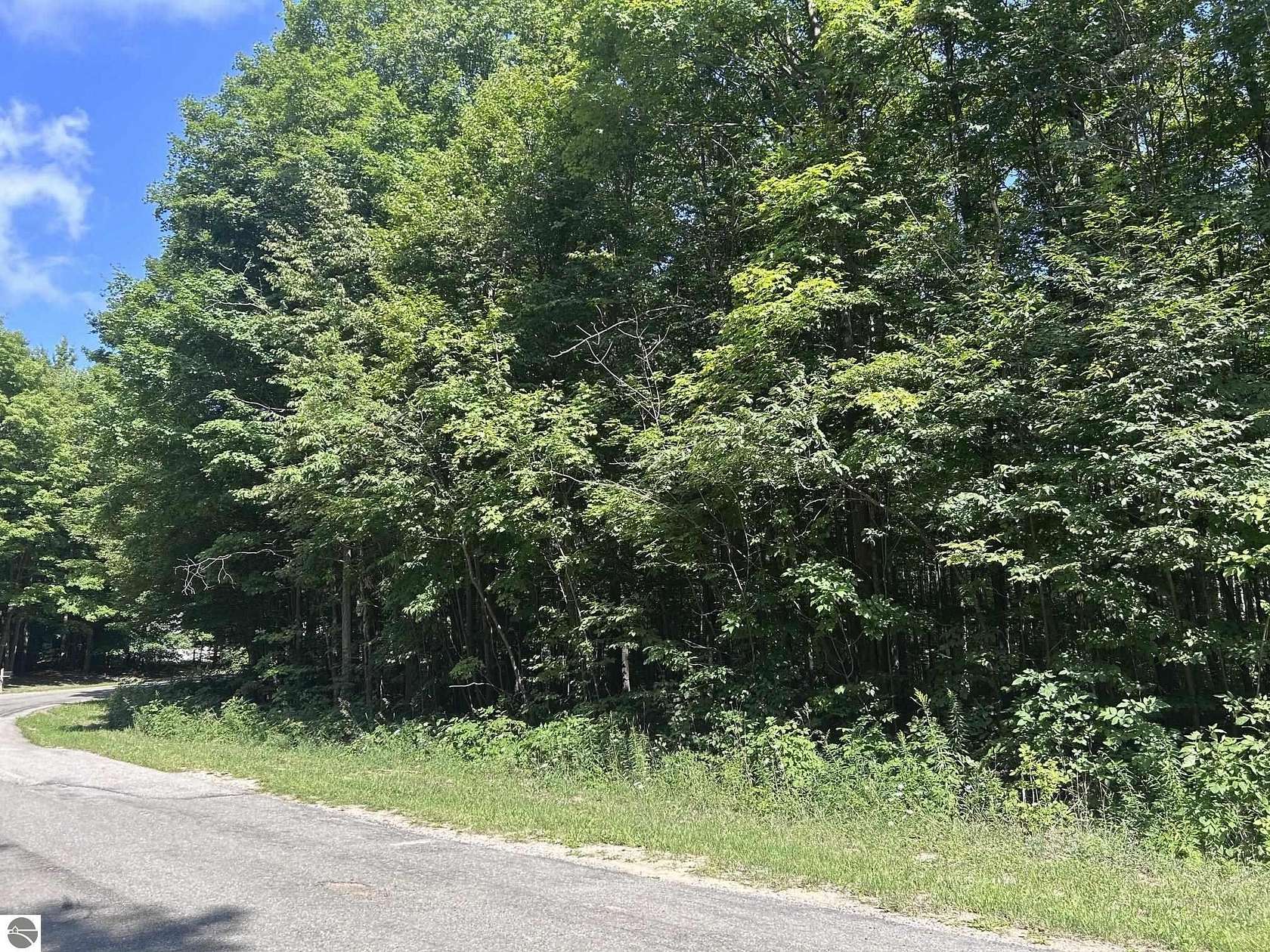 1.2 Acres of Residential Land for Sale in Mesick, Michigan