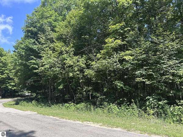 1.2 Acres of Residential Land for Sale in Mesick, Michigan