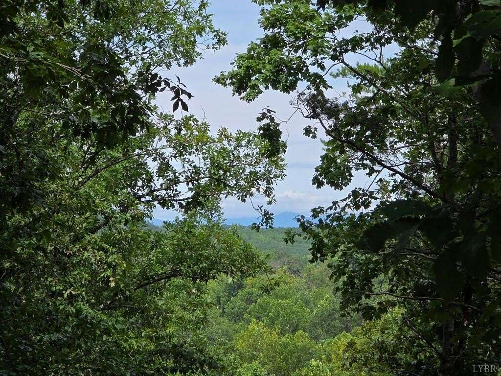 33.9 Acres of Land for Sale in Appomattox, Virginia
