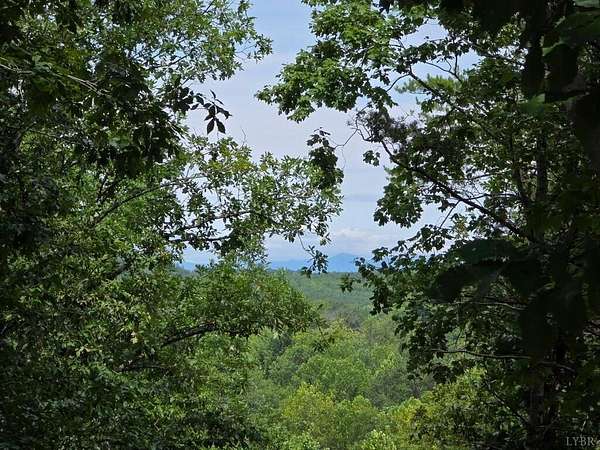33.9 Acres of Land for Sale in Appomattox, Virginia