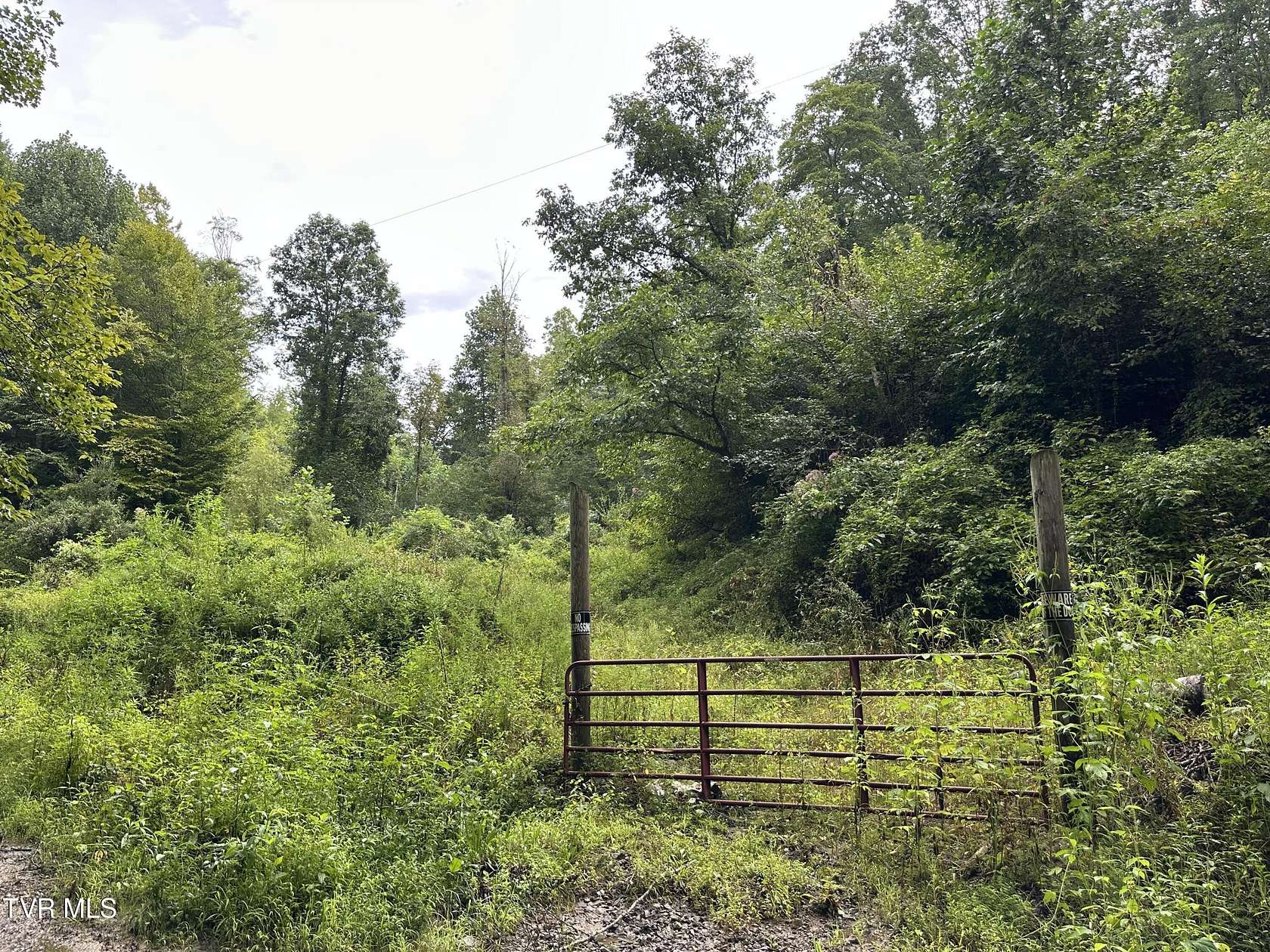 45 Acres of Land for Sale in Pennington Gap, Virginia