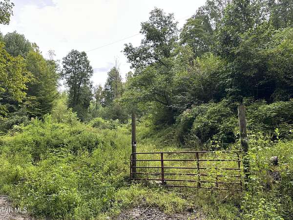 45 Acres of Land for Sale in Pennington Gap, Virginia