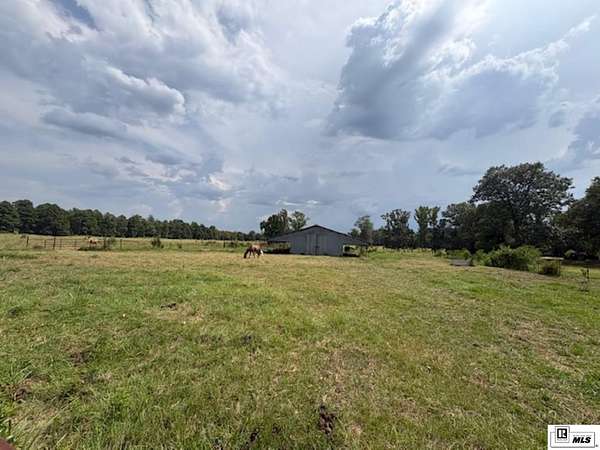29.5 Acres of Agricultural & Residential Land for Sale in Bastrop, Louisiana