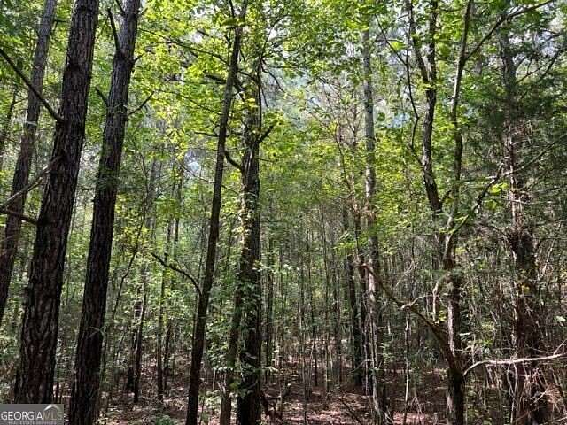 129 Acres of Recreational & Residential Land for Sale in Franklin, Georgia