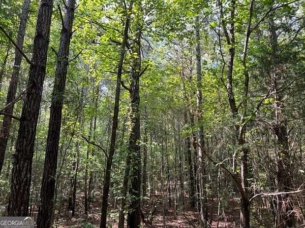 129 Acres of Recreational & Residential Land for Sale in Franklin, Georgia