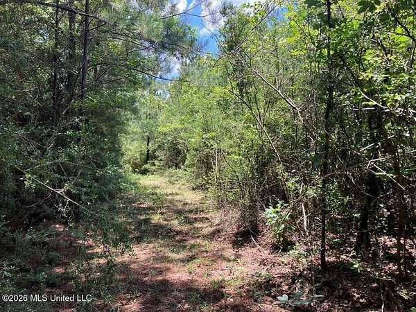 5.68 Acres of Land for Sale in Tylertown, Mississippi