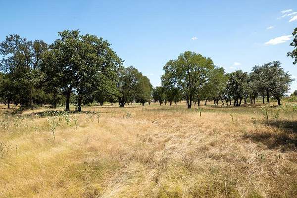 18.5 Acres of Land for Sale in Fredericksburg, Texas