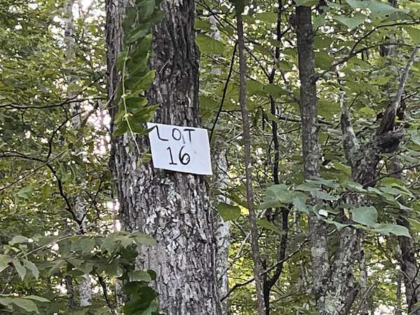 0.8 Acres of Residential Land for Sale in Somerset, Kentucky