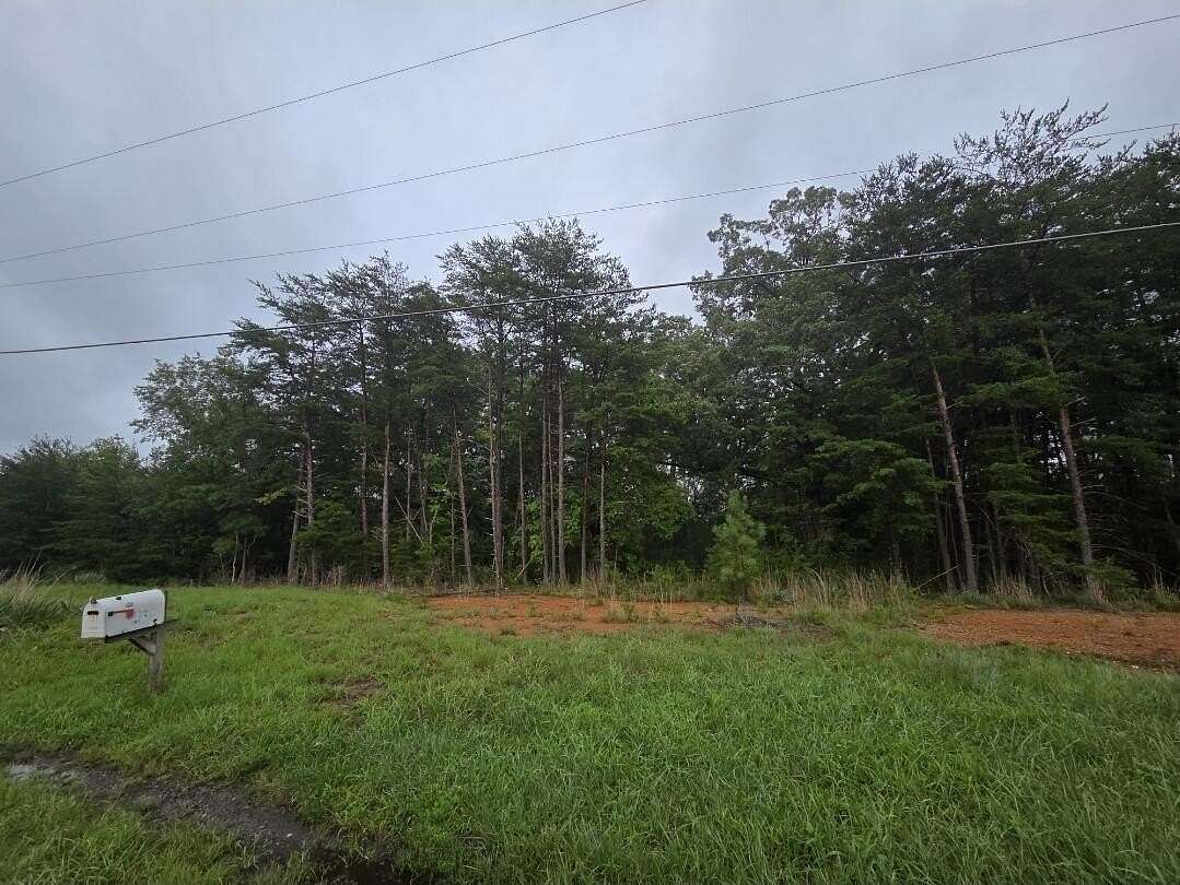 0.5 Acres of Land for Sale in Ridgeway, Virginia