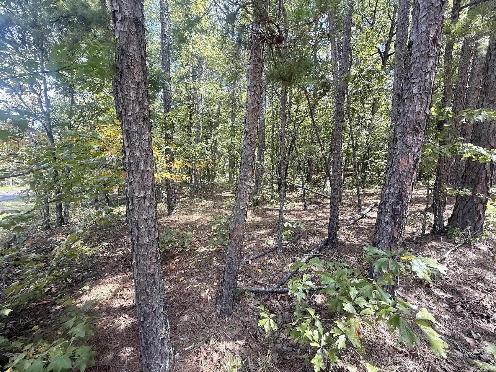 0.3 Acres of Residential Land for Sale in Hot Springs Village, Arkansas