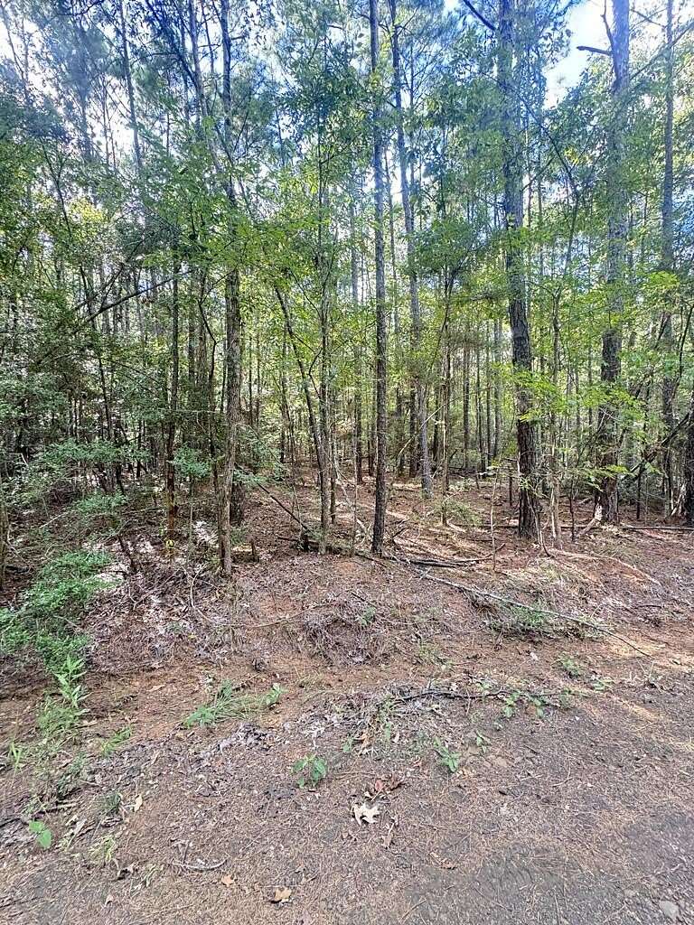0.67 Acres of Residential Land for Sale in Hemphill, Texas