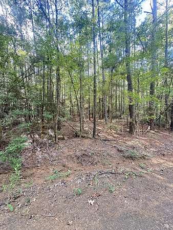 0.67 Acres of Residential Land for Sale in Hemphill, Texas