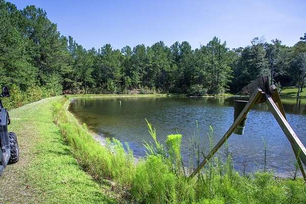 56.2 Acres of Recreational & Residential Land for Sale in Eufaula, Alabama