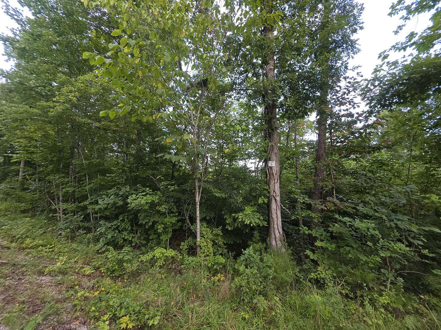 1.46 Acres of Residential Land for Sale in Somerset, Kentucky