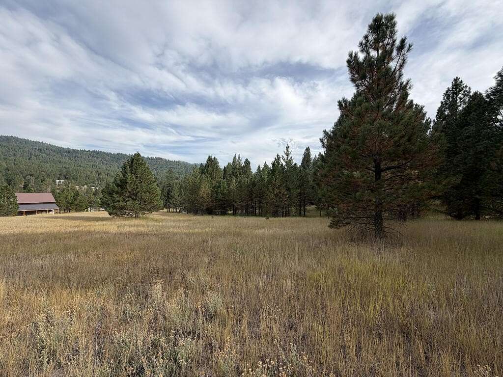 2.65 Acres of Land for Sale in Cascade, Idaho