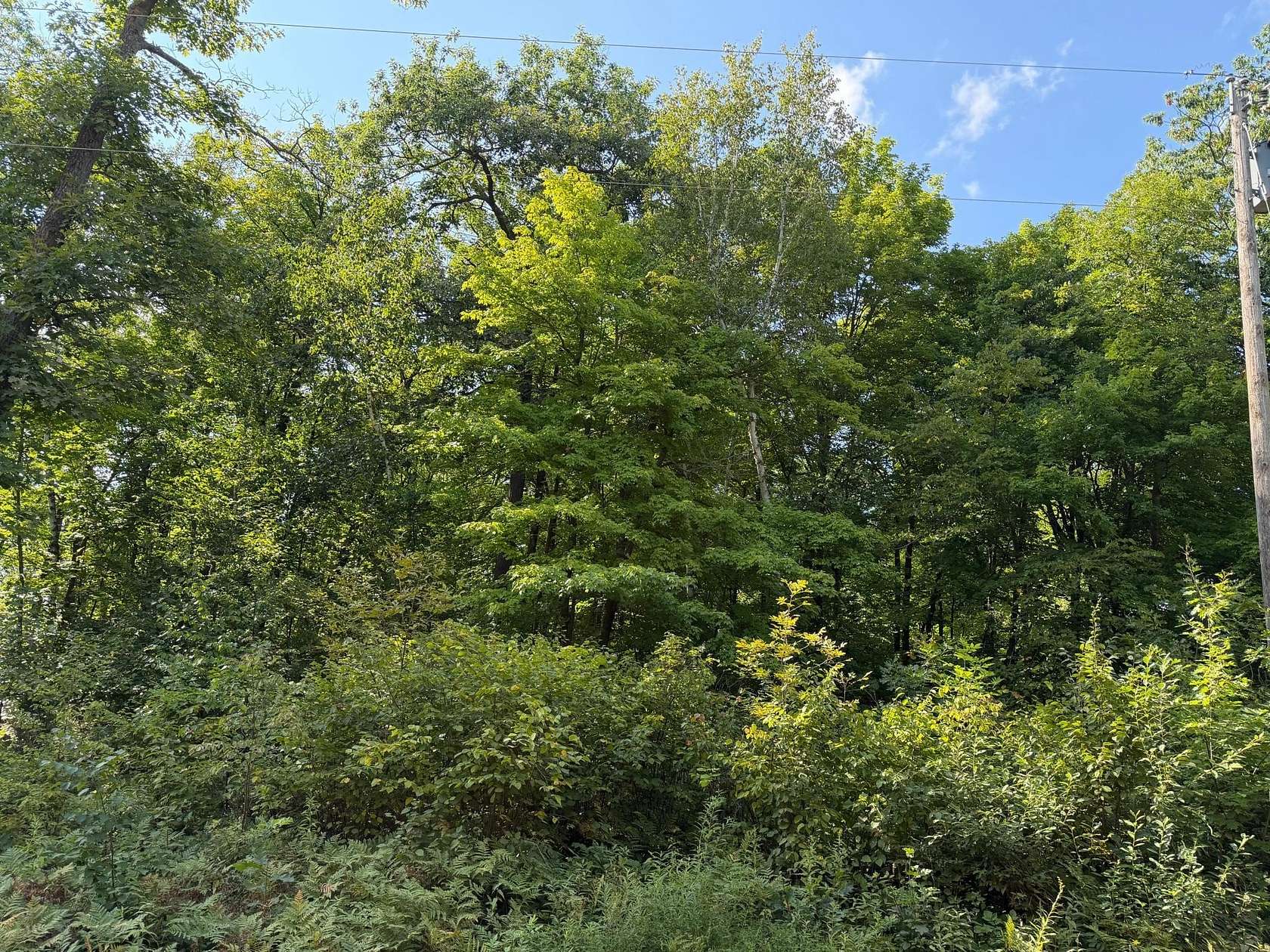 1.2 Acres of Residential Land for Sale in Aitkin, Minnesota