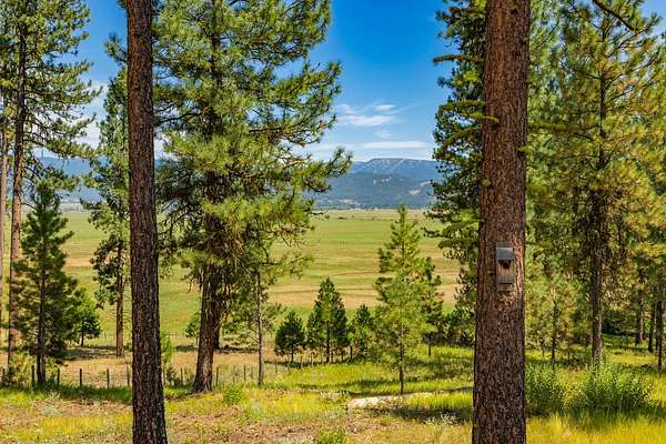 5 Acres of Residential Land for Sale in McCall, Idaho