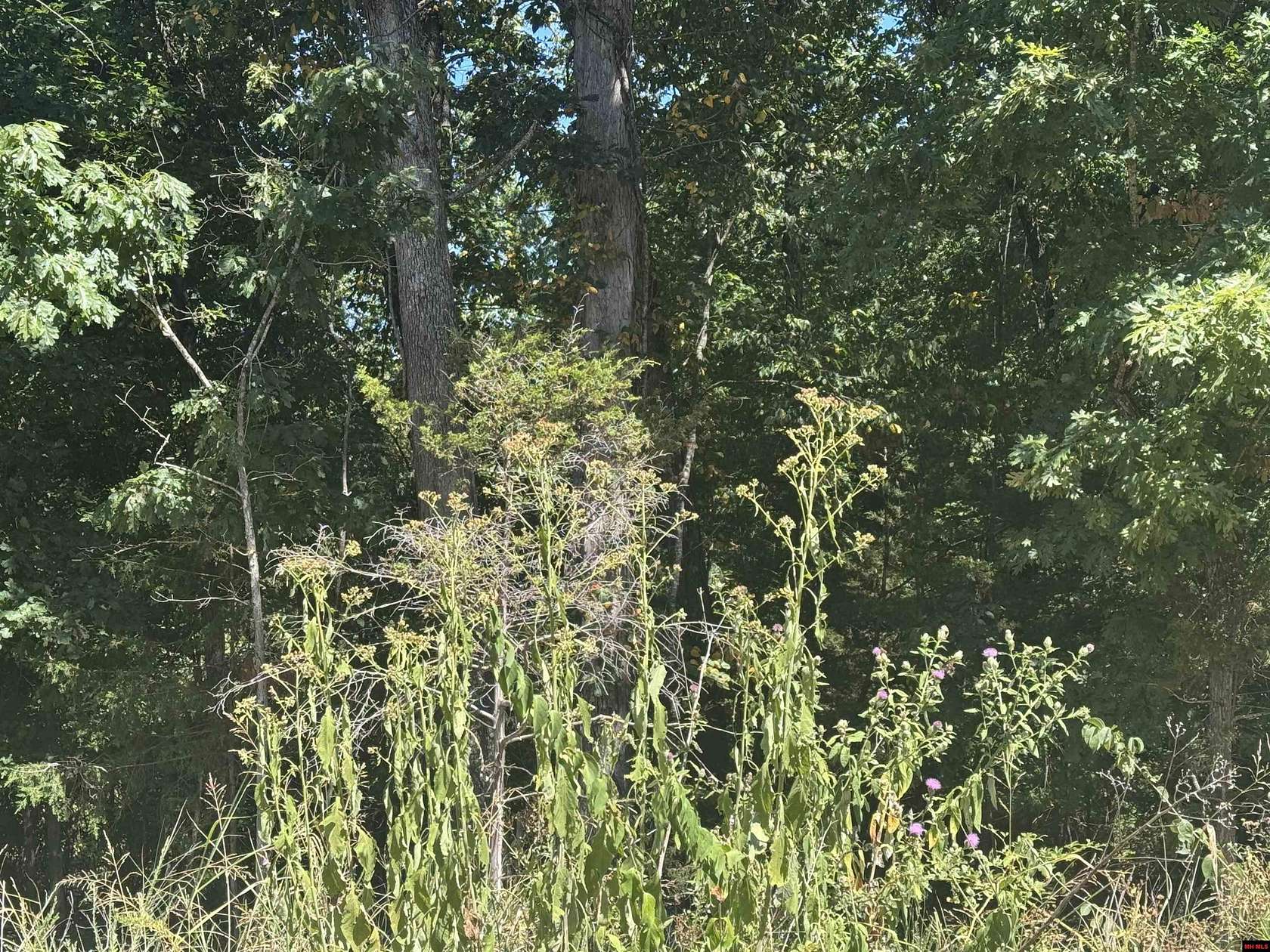 0.9 Acres of Residential Land for Sale in Briarcliff, Arkansas