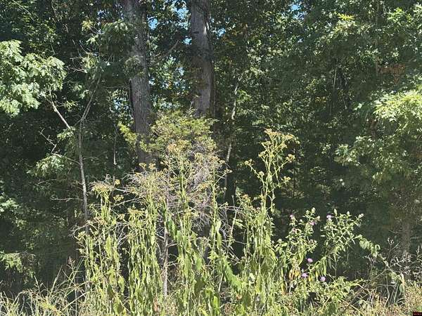 0.9 Acres of Residential Land for Sale in Briarcliff, Arkansas