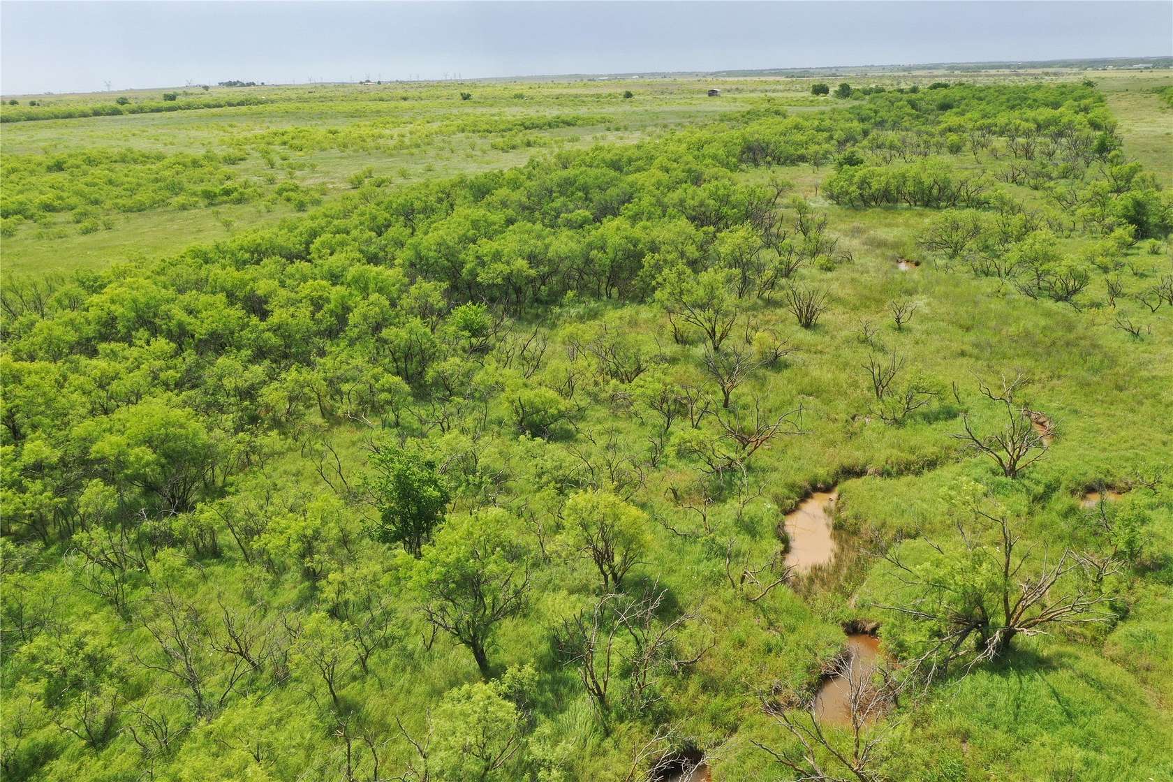 47.8 Acres of Recreational & Residential Land for Sale in Bellevue, Texas