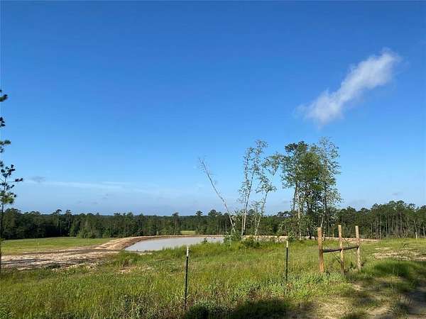 20 Acres of Recreational & Residential Land for Sale in Woodville, Texas