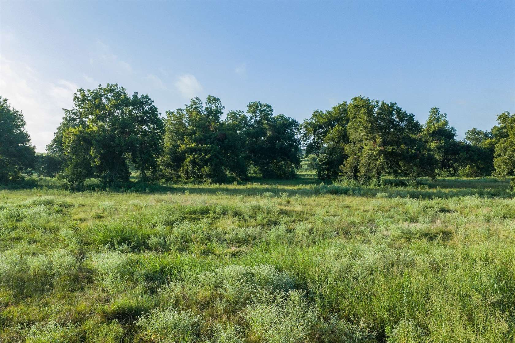 20 Acres of Land for Sale in Kosse, Texas