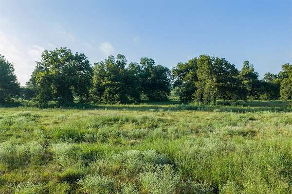 20 Acres of Land for Sale in Kosse, Texas