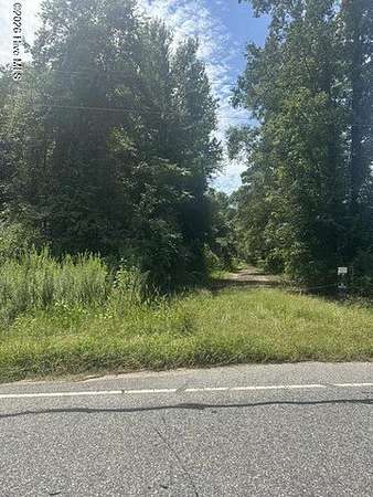 72.6 Acres of Recreational & Residential Land for Sale in Chadbourn, North Carolina