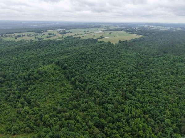 154 Acres of Recreational Land for Sale in Gillham, Arkansas