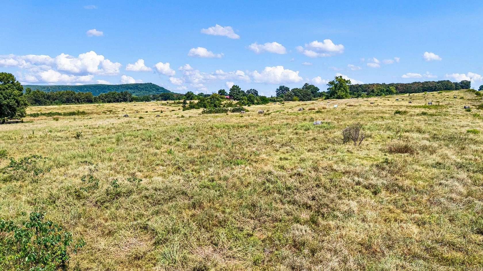 279 Acres of Land for Sale in Hattieville, Arkansas