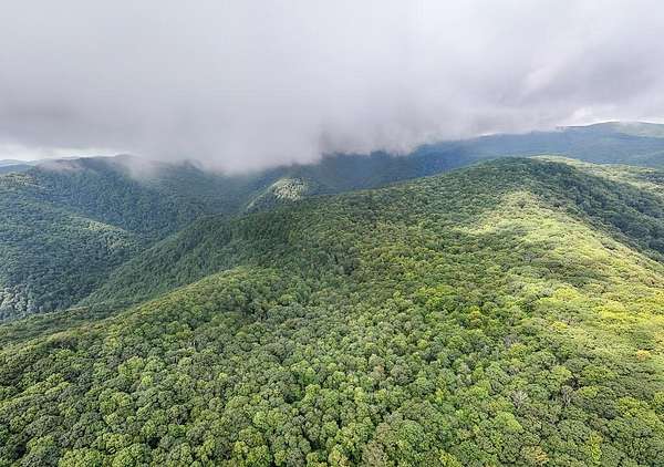114 Acres of Recreational Land for Sale in Robbinsville, North Carolina