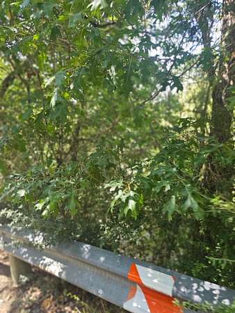 2.57 Acres of Residential Land for Sale in Dallas, Texas