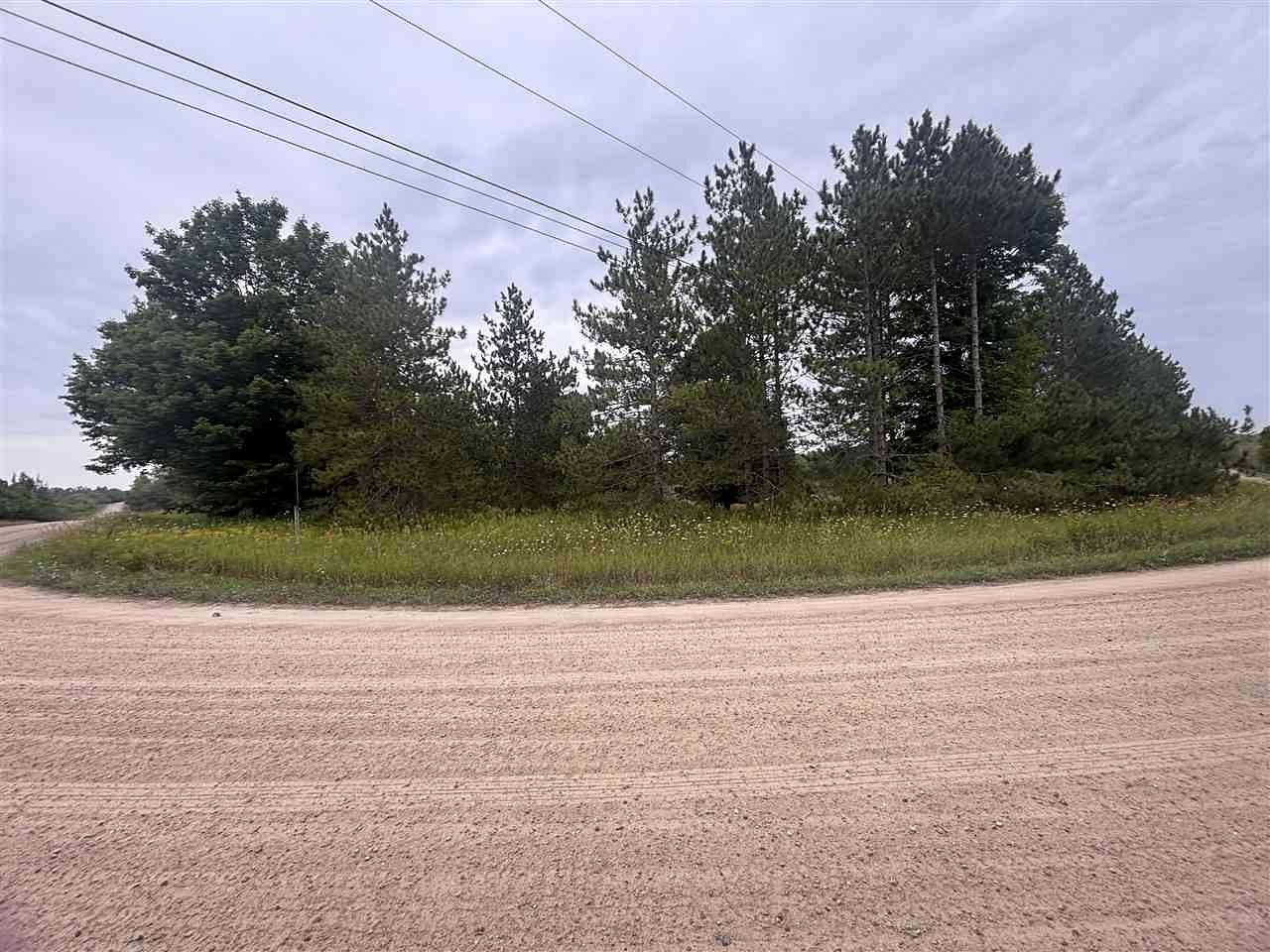 24.3 Acres of Recreational Land for Sale in Levering, Michigan
