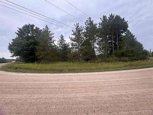 24.3 Acres of Recreational Land for Sale in Levering, Michigan