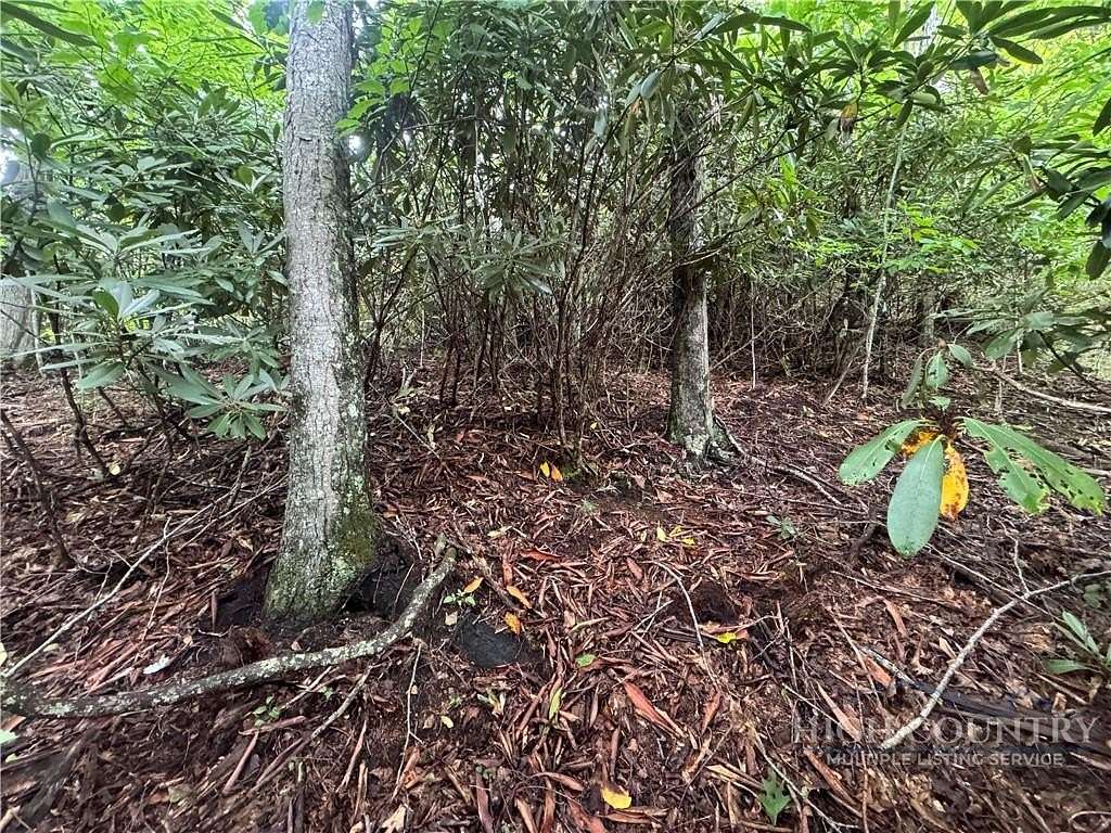 1.65 Acres of Land for Sale in Elk Park, North Carolina