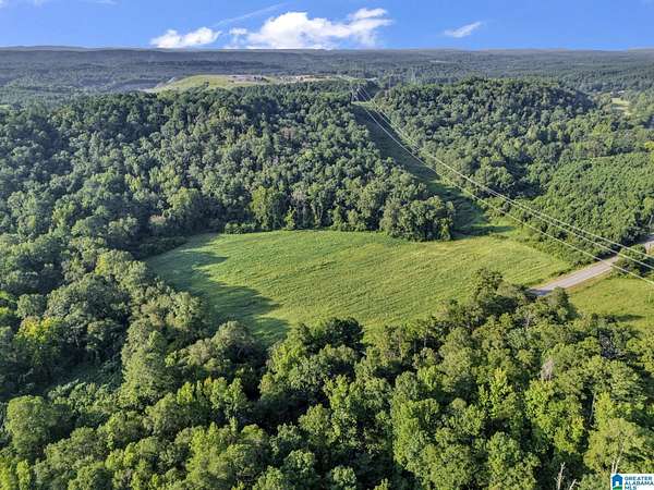 38 Acres of Land for Sale in Warrior, Alabama