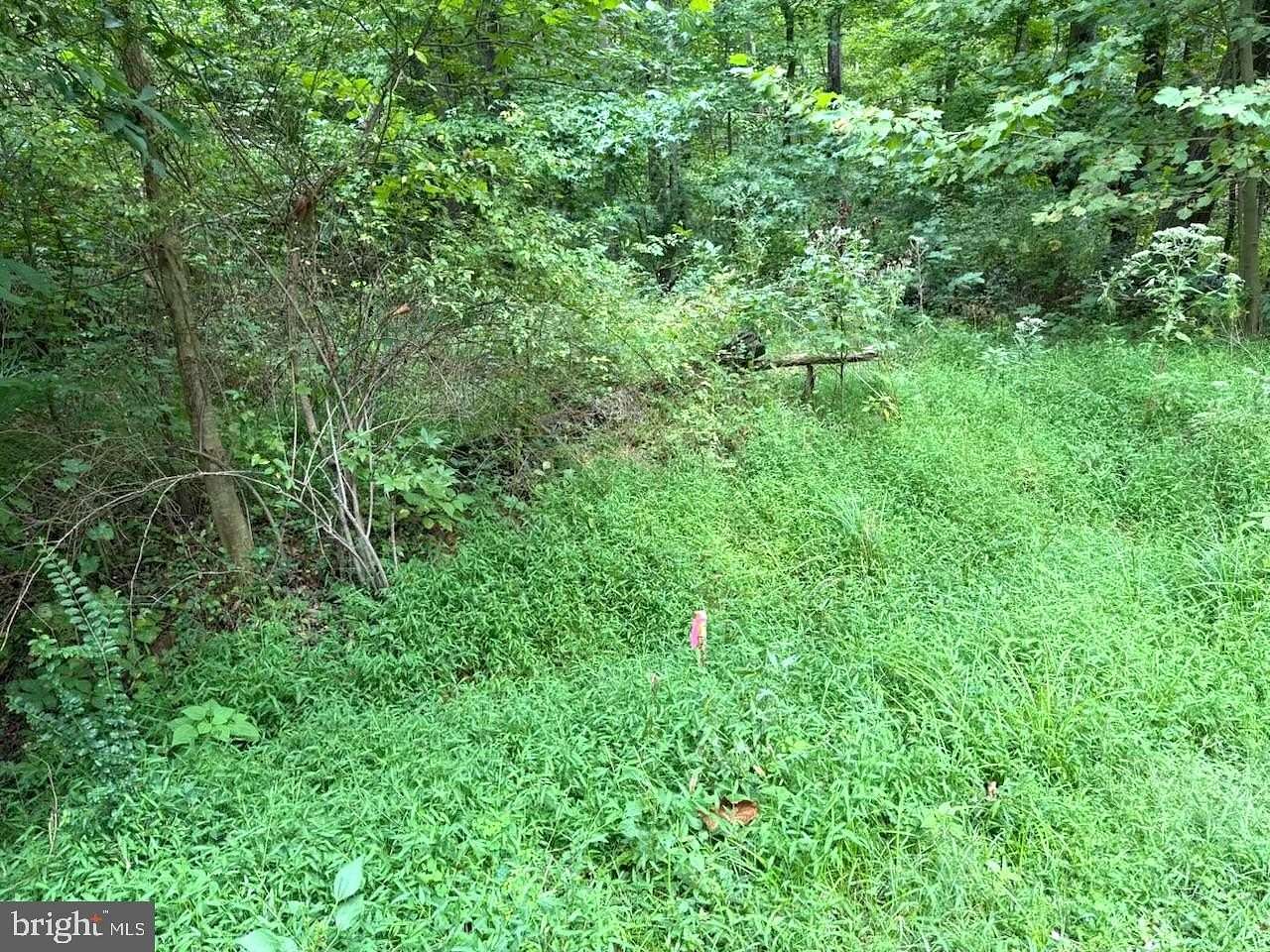 1.13 Acres of Residential Land for Sale in Lorton, Virginia