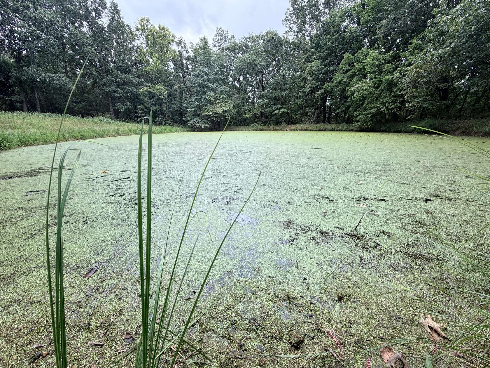 14.9 Acres of Land for Sale in Stella, Missouri