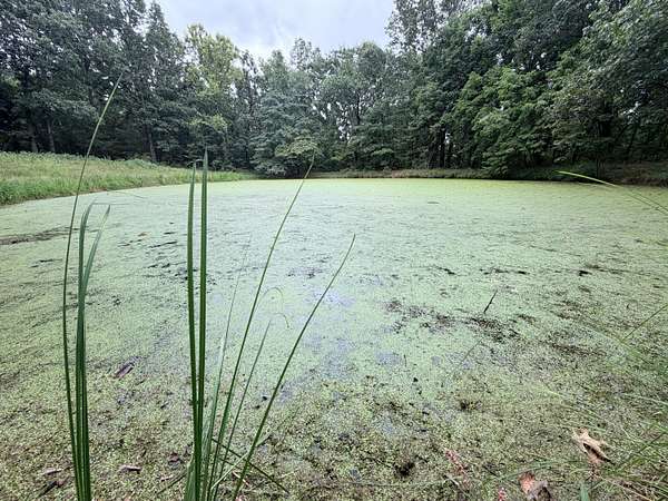 14.9 Acres of Land for Sale in Stella, Missouri
