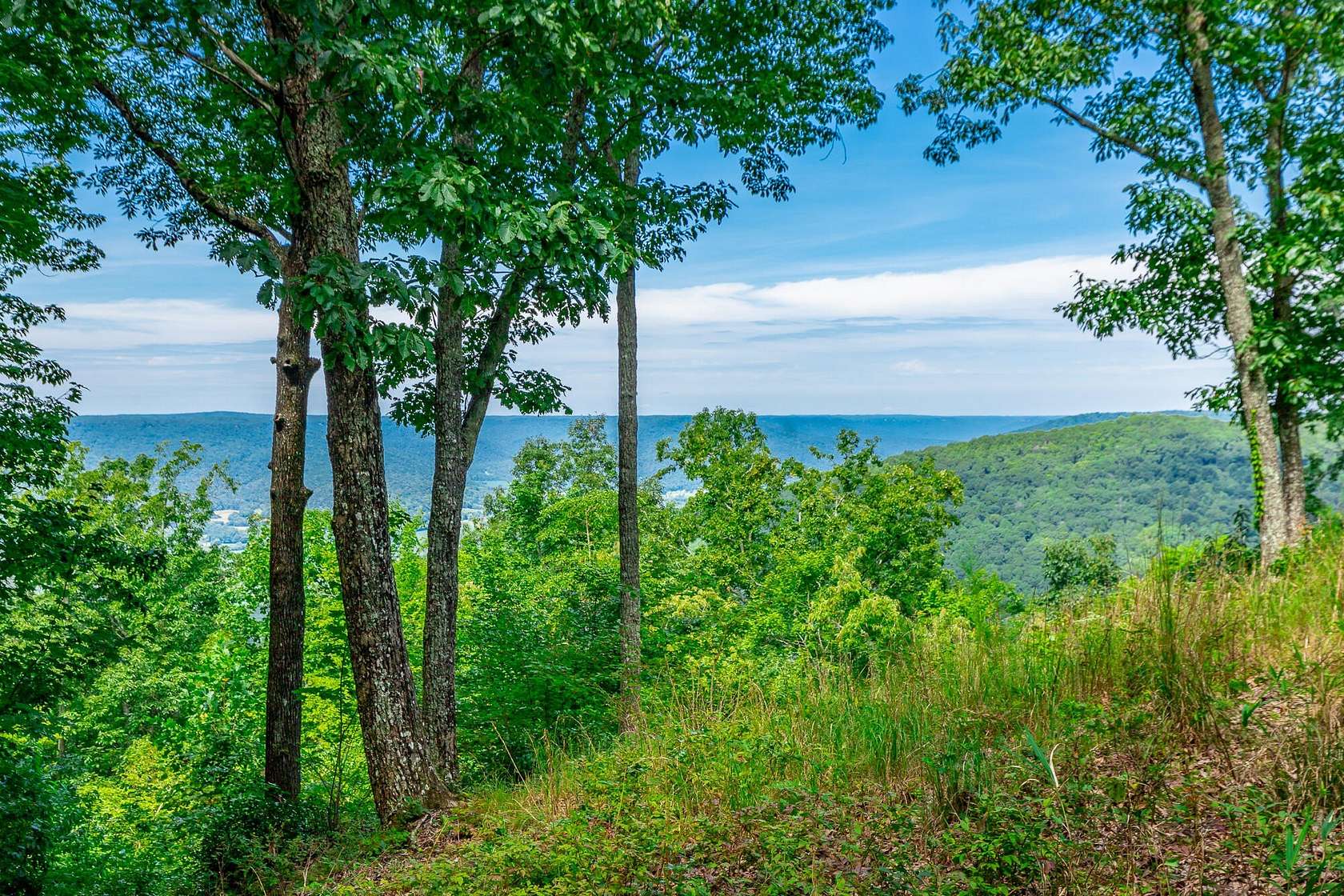 1.85 Acres of Residential Land for Sale in Jasper, Tennessee