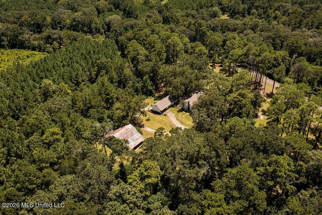 20 Acres of Land with Home for Sale in Magnolia, Mississippi
