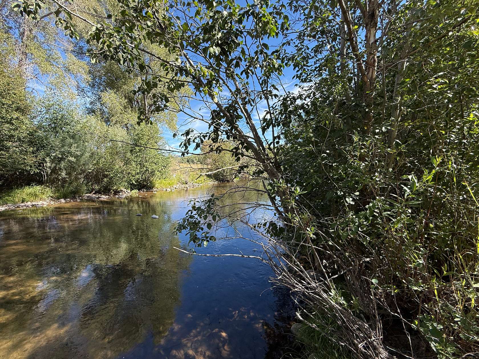 2 Acres of Land for Sale in Chama, New Mexico