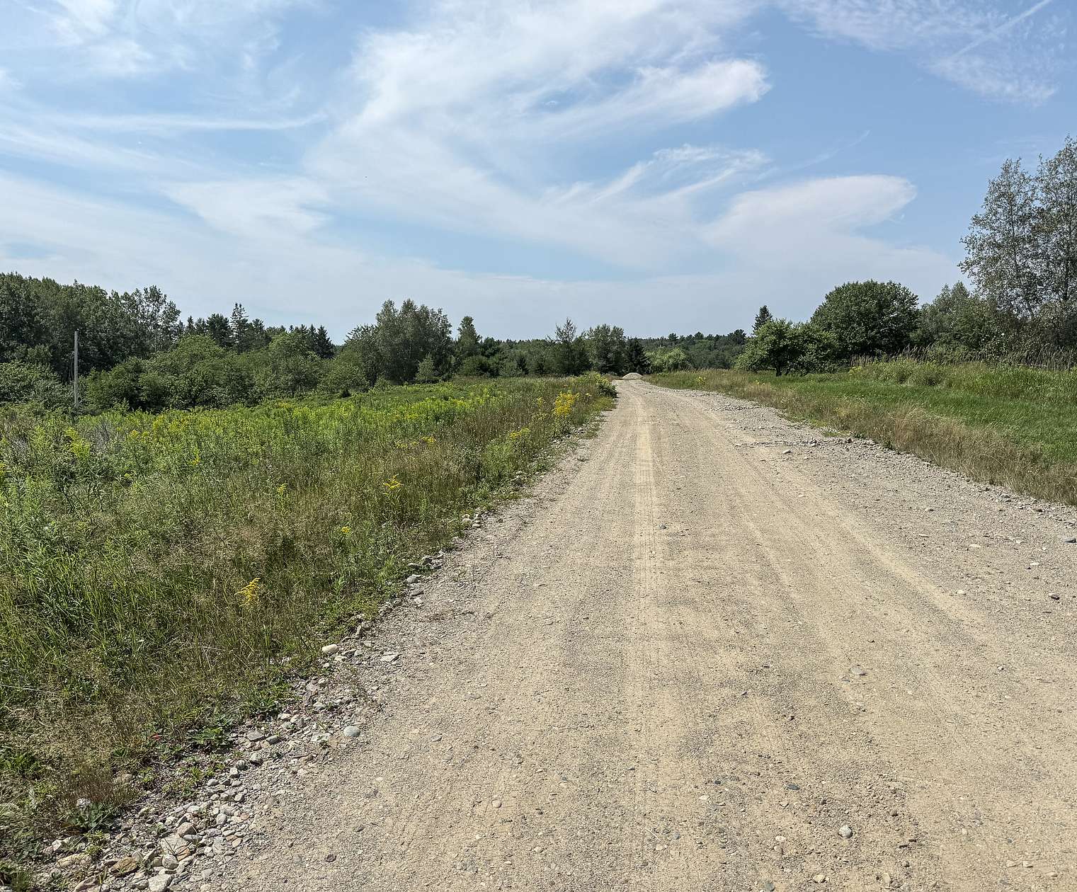 7.26 Acres of Land for Sale in Milbridge, Maine