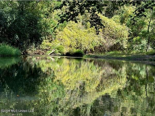 150 Acres of Land for Sale in Magnolia, Mississippi