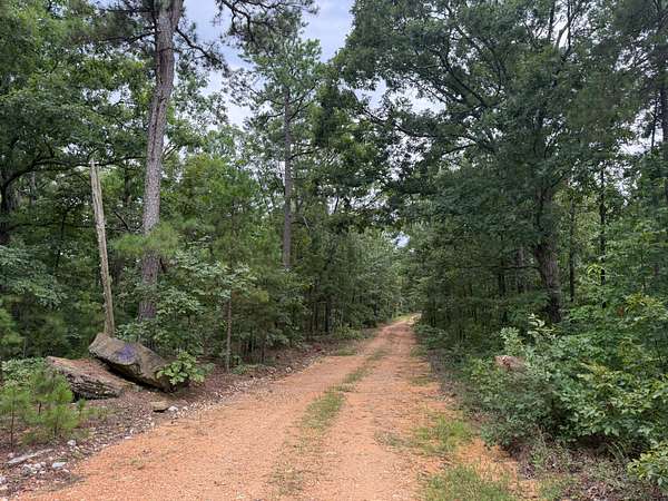 60 Acres of Land for Sale in Mountain View, Arkansas
