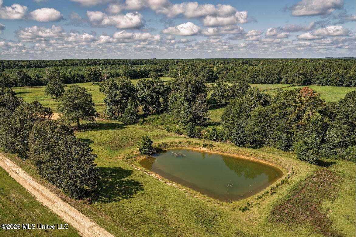 15 Acres of Land for Sale in Smithdale, Mississippi