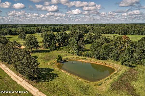 15 Acres of Land for Sale in Smithdale, Mississippi