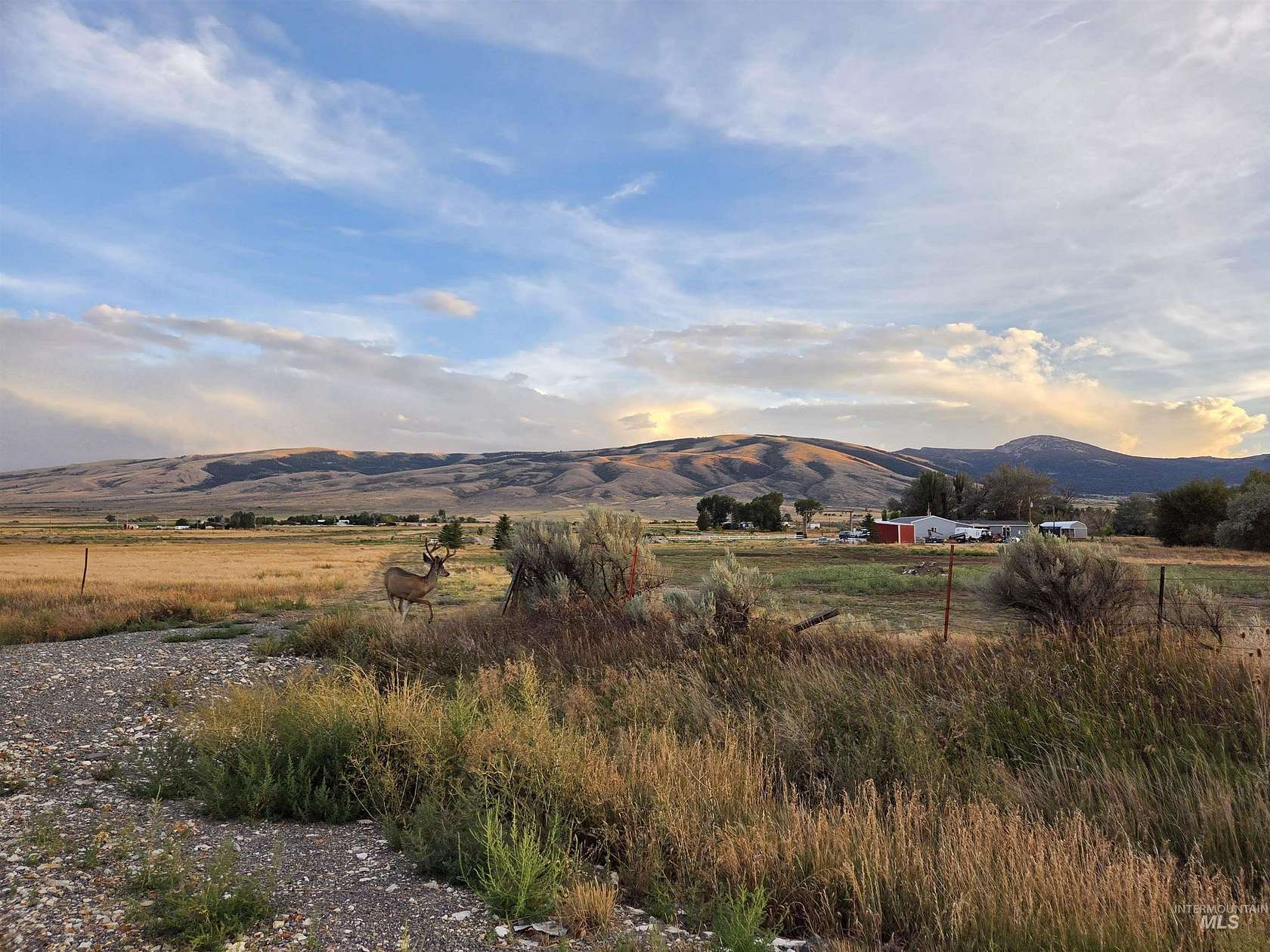 1 Acre of Residential Land for Sale in Albion, Idaho