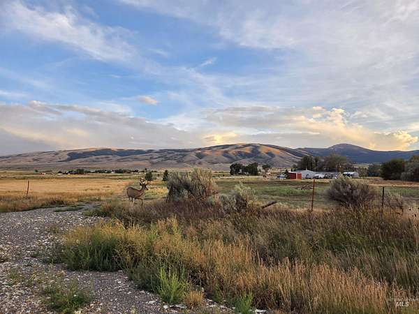 1 Acre of Residential Land for Sale in Albion, Idaho