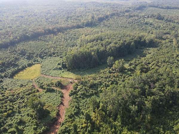 163 Acres of Recreational Land for Sale in Coffeeville, Mississippi
